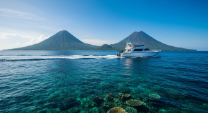 Halmahera Diving: An Expedition into Indonesia’s Untouched Marine Wilderness