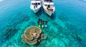 Halmahera Diving: Expeditions to North Maluku’s Pristine Reefs and Untouched Underwater Worlds
